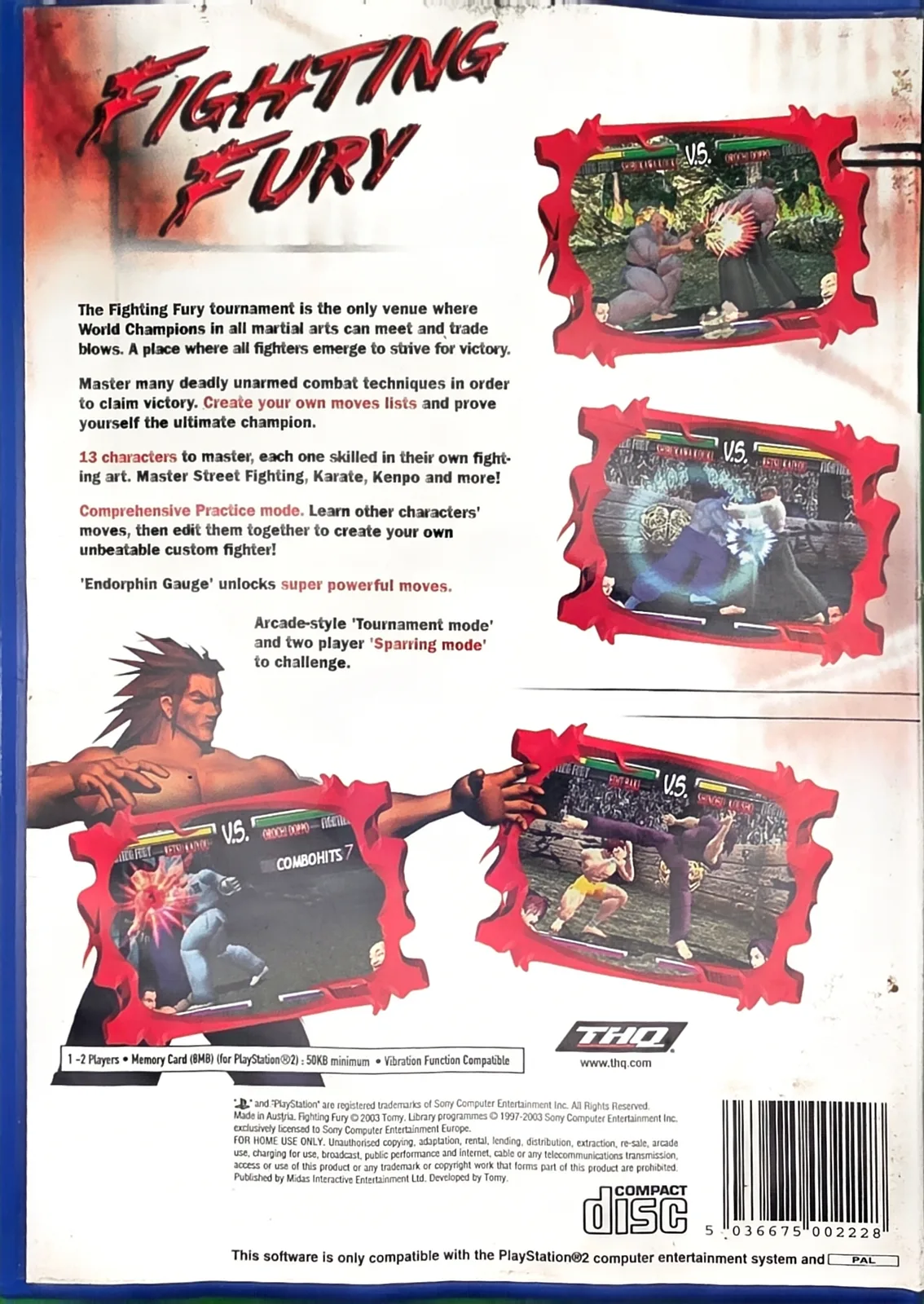 Fighting Fury, photo 2