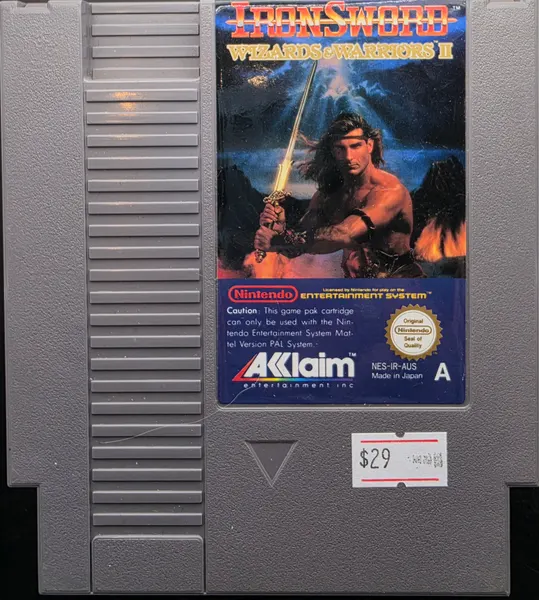 Ironsword: Wizards & Warriors II